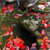 fontaine-automne-1